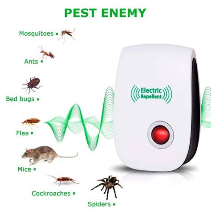 Do ultrasonic pest repellers work squirrels?