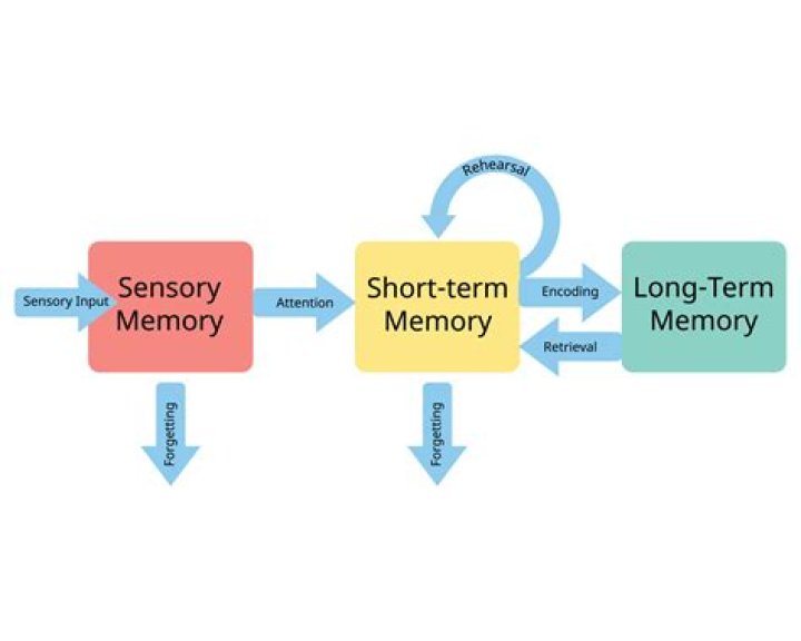 Do we have infinite memory?