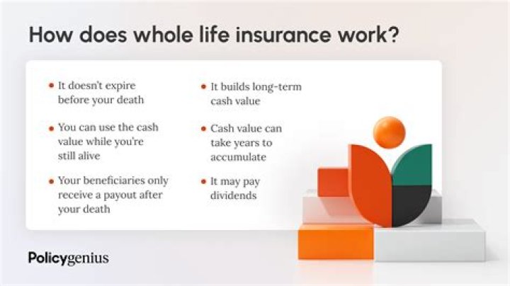 Do you get money back when you cancel a whole life insurance policy?