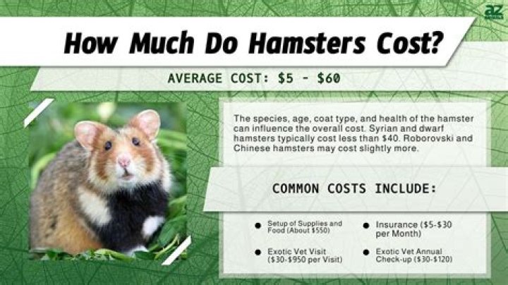 Do you have to be 18 to buy a hamster?