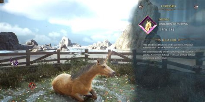 Do you have to be the owner of a condo to rent it out?