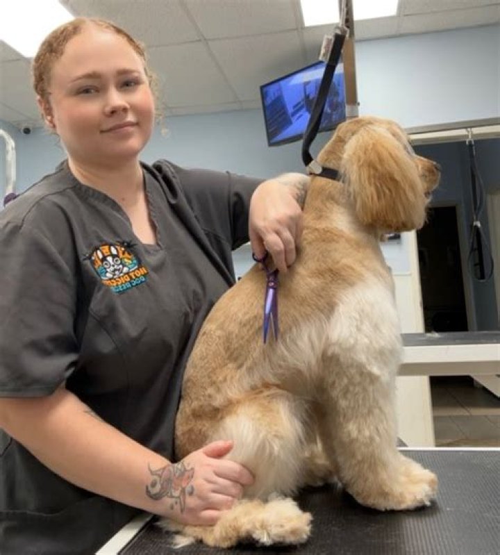 Do you need a certificate to be a dog groomer in Florida?