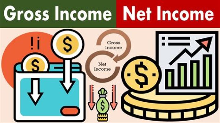 Do you report gross or net income on taxes?