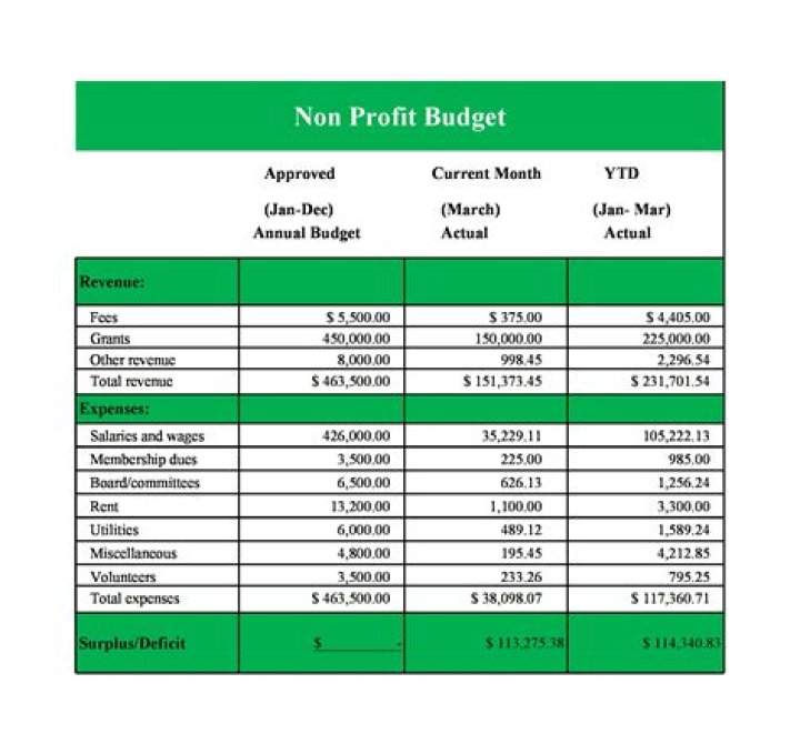 Does a non profit need an accountant?
