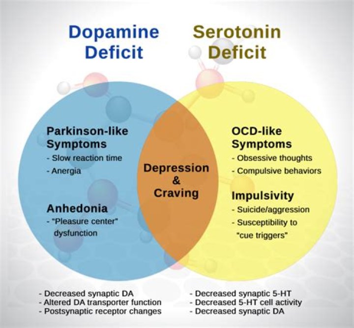 Does Adderall deplete serotonin or dopamine?