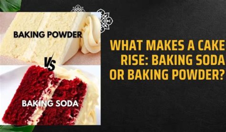 Does baking soda make things rise?