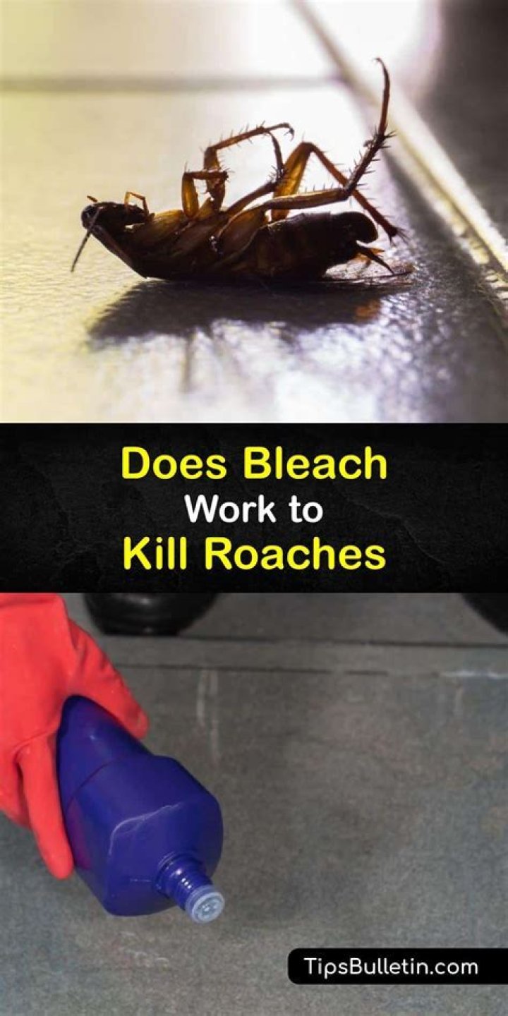 Does bleach keep roaches away?