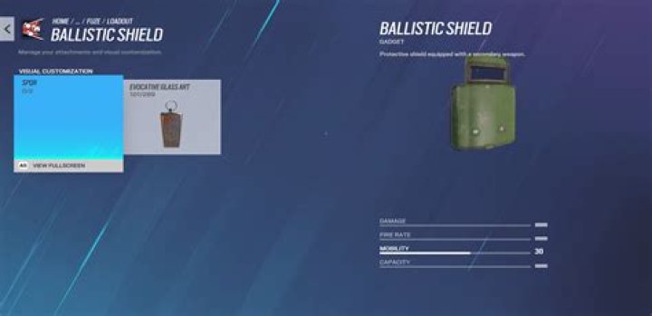 Does blitz ULT destroy shields?