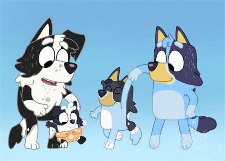 Does Bluey have an older sister?