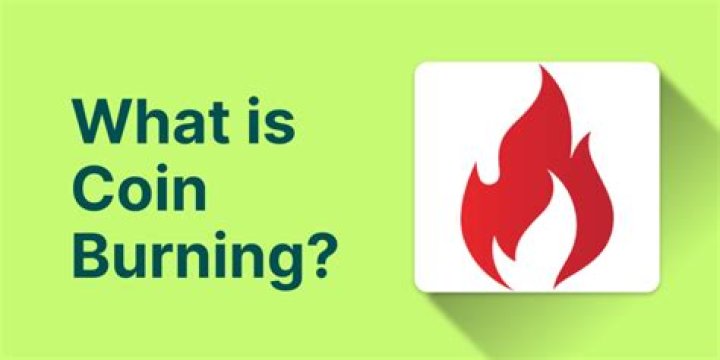 Does coin burning increase price?