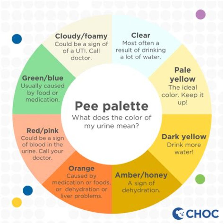 Does IBS make you pee a lot?