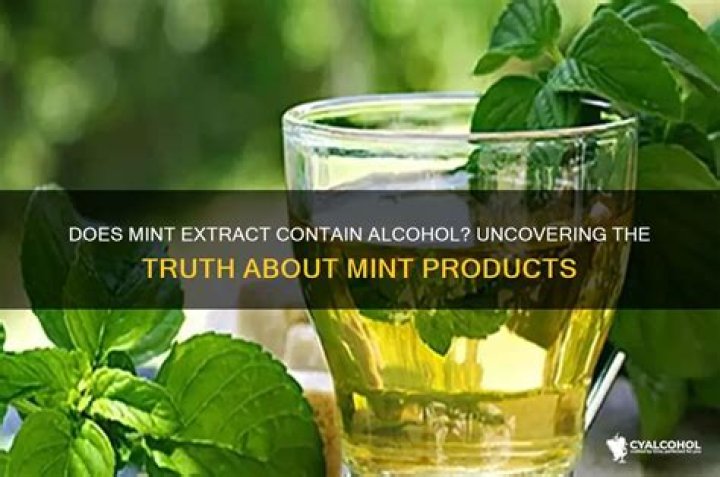 Does Mint gum have alcohol?