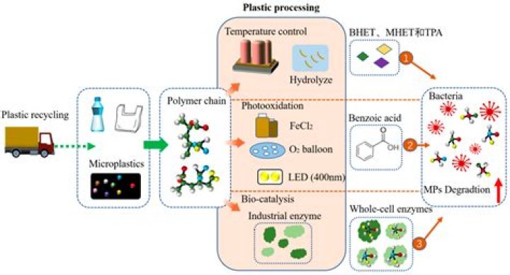 Does oil degrade rubber?