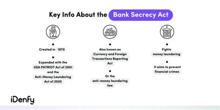 Does the Bank Secrecy Act apply to checks?