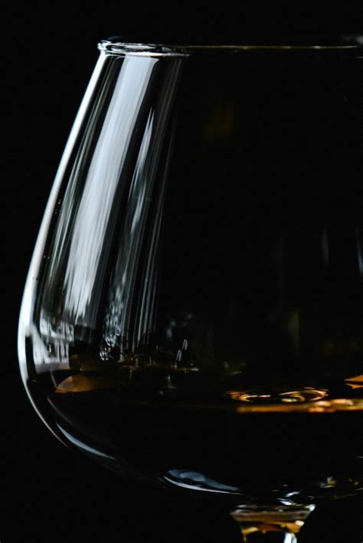 Does the Bourbon family still exist?