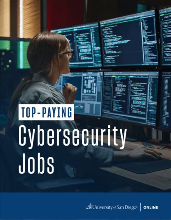 Does the government hire hackers?