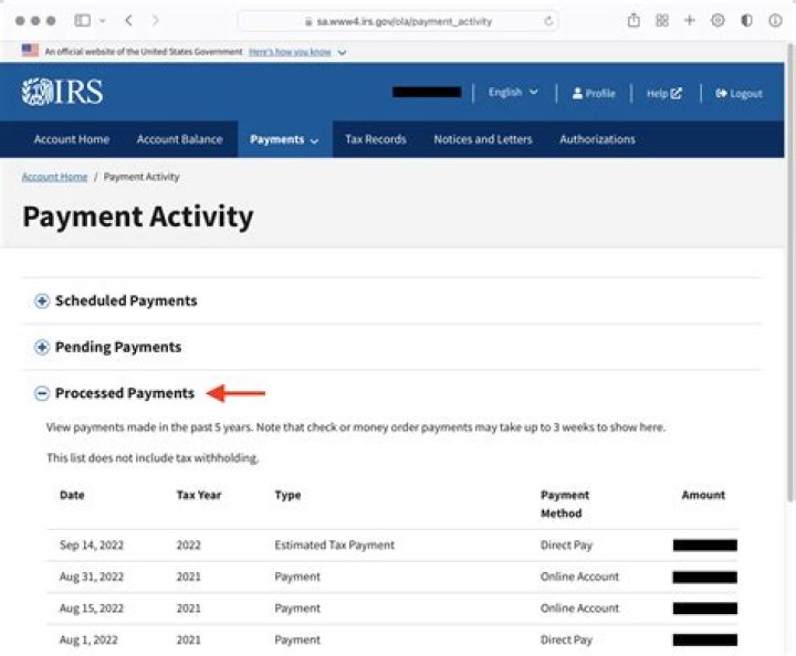 Does the IRS require bank statements?