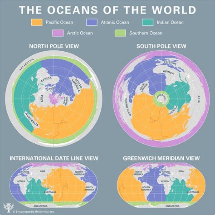Does the ocean have DNA?