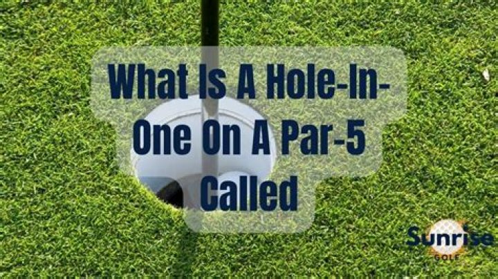 Has anyone ever hit a hole in one on a par-5?