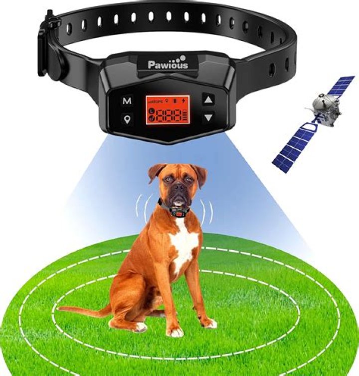 How accurate are GPS dog fences?
