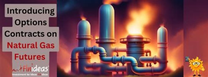 How are natural gas contracts priced?