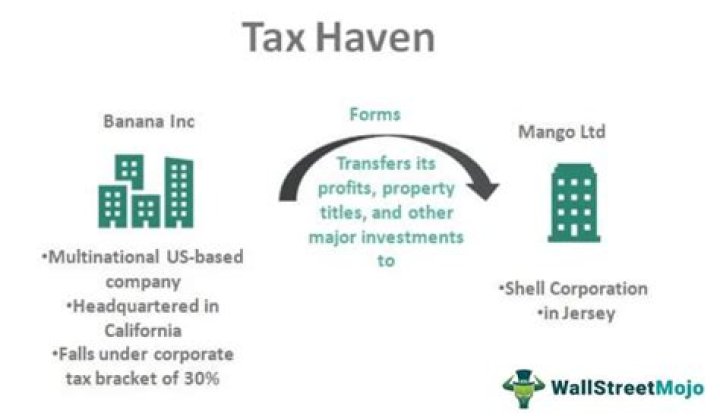 How are tax havens related to tax evasion?