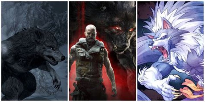 How can you tell if you are a werewolf?