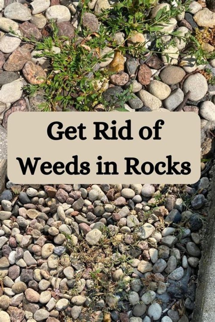How deep does gravel need to be to stop weeds?