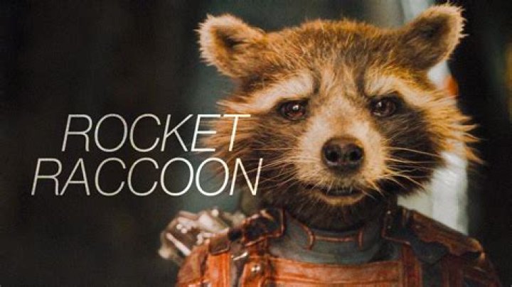 How did Rocket become a raccoon?
