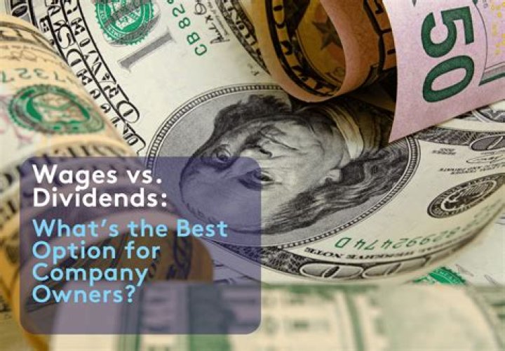 How do corporation owners pay themselves?