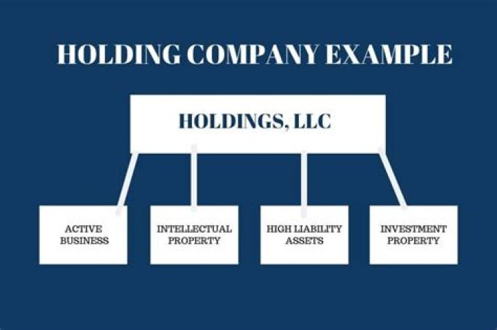 How do holding companies work?