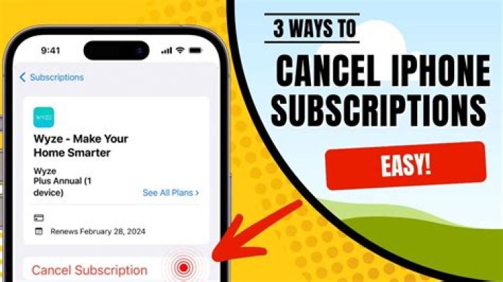 How do I cancel my ever subscription?