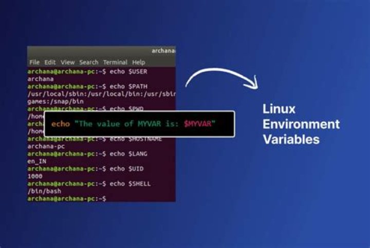 How do I check if an environment variable is set in Linux?