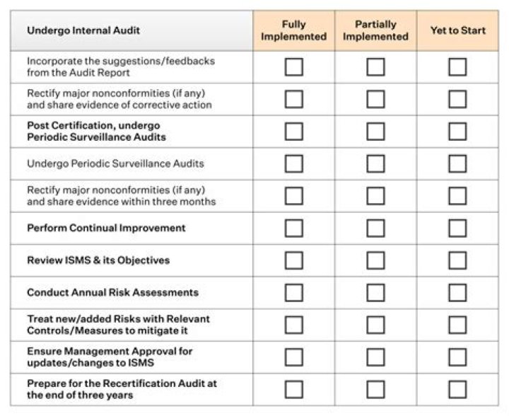 How do I check my audit report?