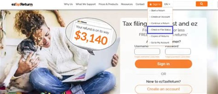 How do I download a copy of a previous year tax return?