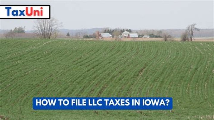 How do I file LLC taxes in Illinois?