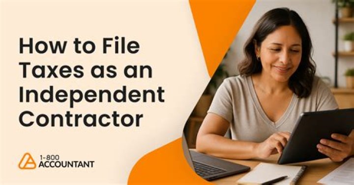 How do I file taxes as an independent consultant?