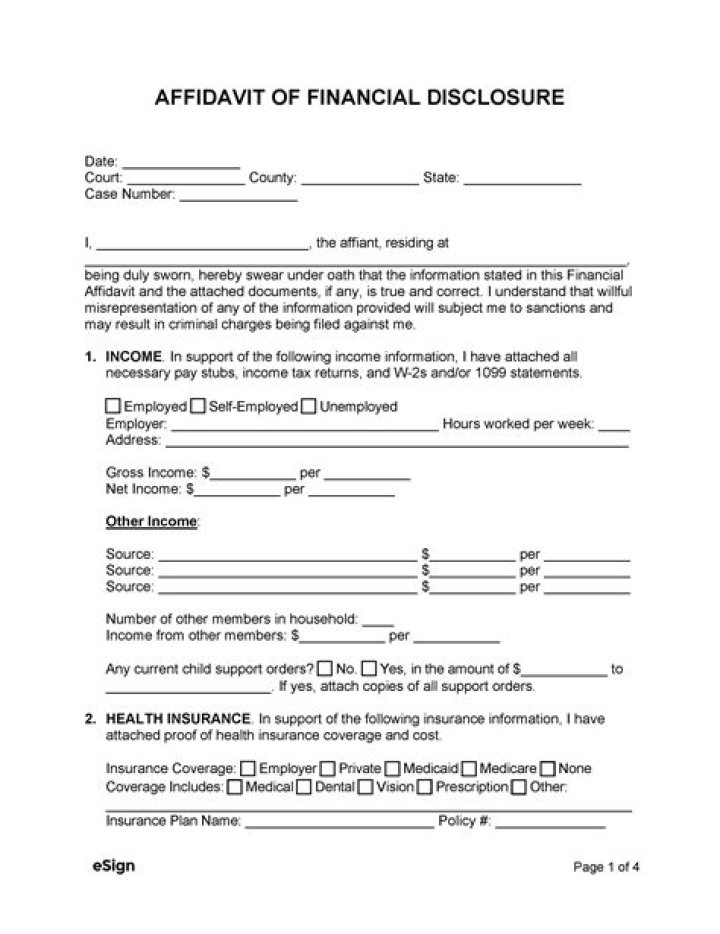 How do I fill out an affidavit of financial status?