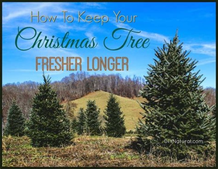 How do I keep my Christmas tree fresh longer?