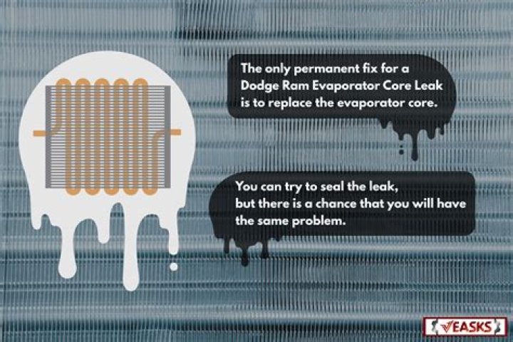 How do I know if my evaporator core is leaking?