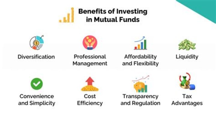 How do I know which mutual fund is best to invest in?