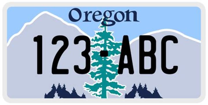 How do I look up an SBA loan?