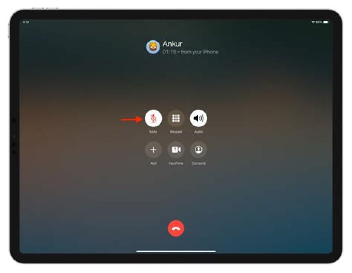 How do I mute my iPad 7?