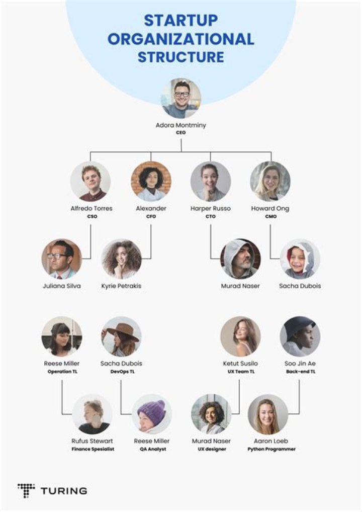 How do I organize my startup company?