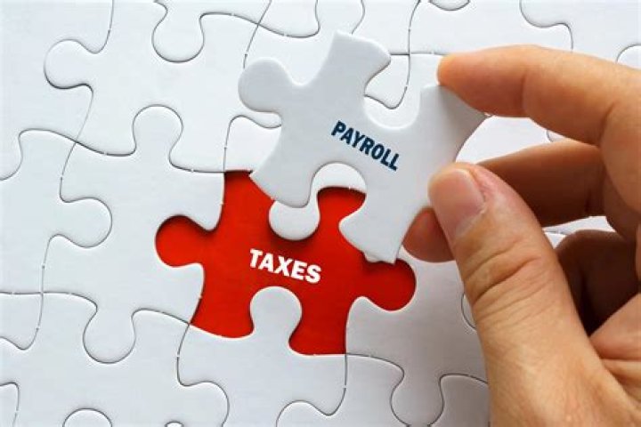 How do I pay my payroll taxes directly?