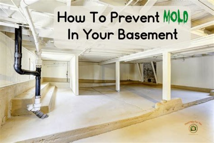How do I prevent mold in my basement?