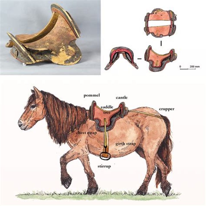 How do I put the ancient saddle on my horse?