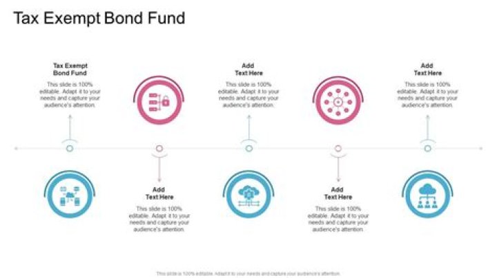 How do I report bond premium on Tax-Exempt bond?