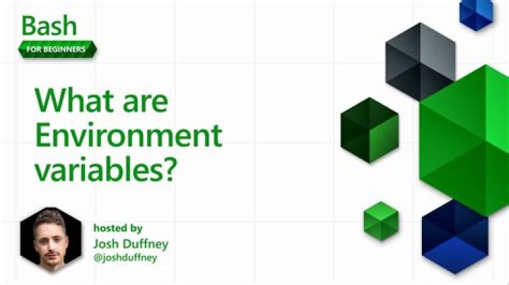 How do I see environment variables in bash?