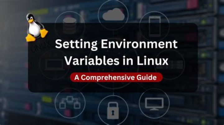 How do I see environment variables in Linux?
